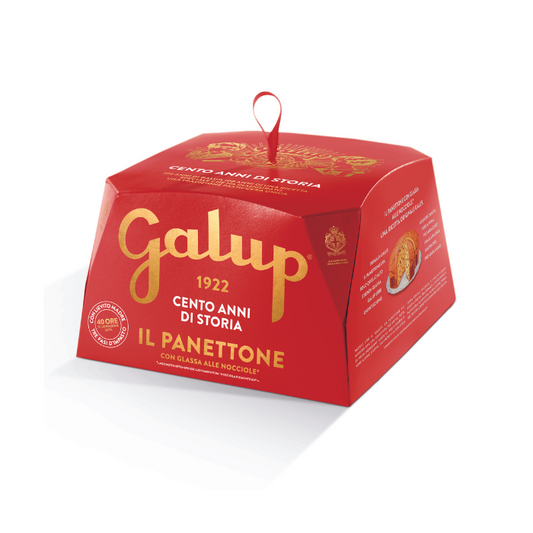 Galup Traditional Panettone 500g | Il Fattore