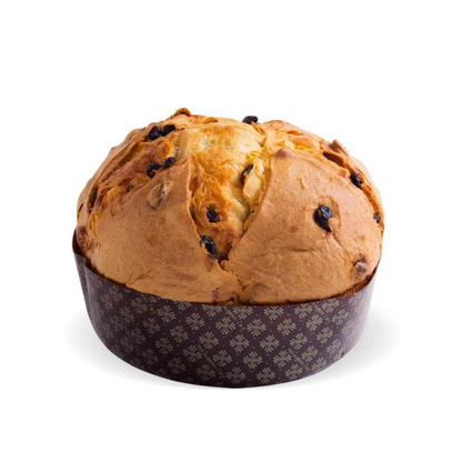 Galup Chocolate & Black Cherry Panettone 750g | Il Fattore